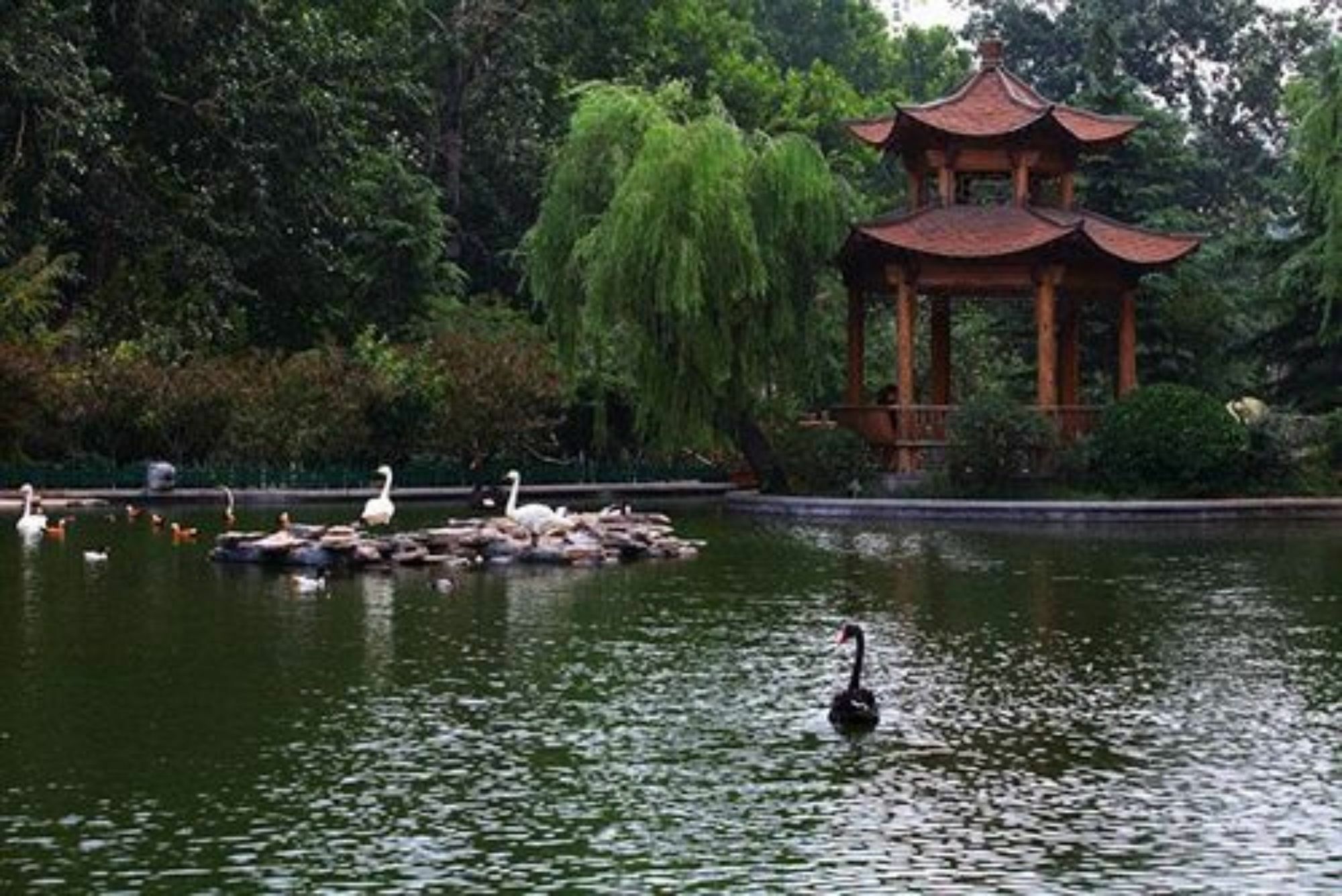Shan Dong Hotel Цзинань Экстерьер фото